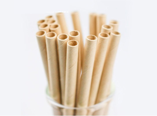 Paper Straws White 195 x 8mm
